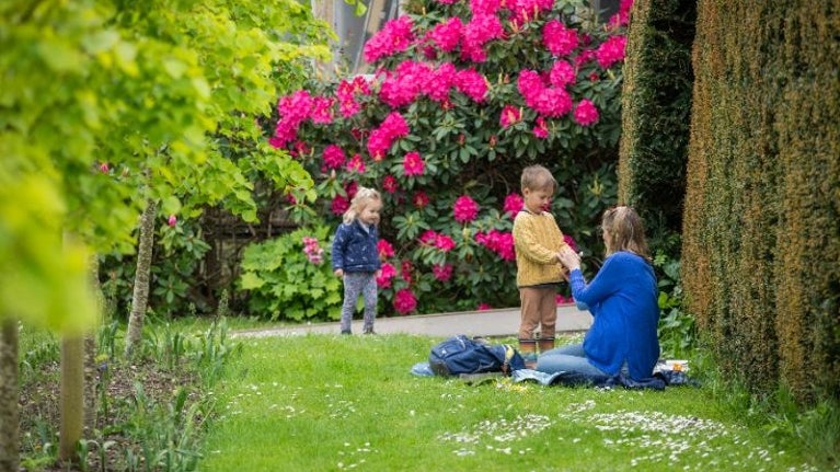 A person sits on a blanket on a grassy garden path, helping a child while another child stands nearby. Bright pink rhododendron flowers fill the background, and the scene is surrounded by lush green trees and hedges.